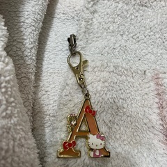 ジェラートピケ　パーカーの画像