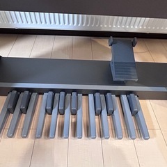 YAMAHA Electone STAGEA ELS-02 ホワイトの画像