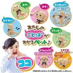 美品 ＊ ココさかだちして ことばがわかるペットの画像