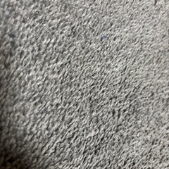 カーペットの画像