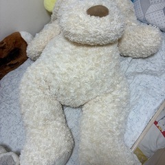 ぬいぐるみの画像