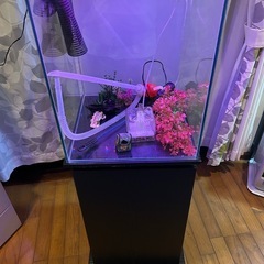 水槽台　水槽　TETRAフィルター　飾りなど全てお付けしますの画像