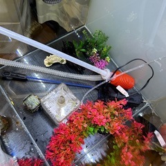 水槽台　水槽　TETRAフィルター　飾りなど全てお付けしますの画像