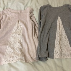 トレーナーの画像