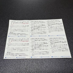 ひらパー　ウインターカーニバル入場券の画像