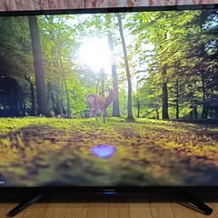 無料配送 HDD内蔵 録画機能付き 2020年 49V型 FUNAI/フナイ4K FL-49U5030 倍速駆動 HDR10 Youtube 多機能音声リモコン付き(209）の画像