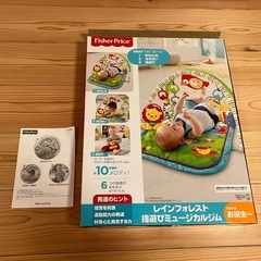 フィッシャープライス　レインフォレスト　指遊びミュージカルジムの画像