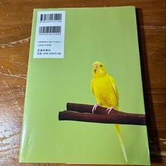 インコ 長く楽しく飼うための本の画像