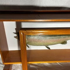 ニジマスの剥製手作りの画像
