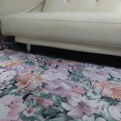 ソファーベッドの画像