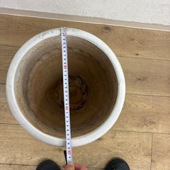 植木鉢。陶器。白。プランター。植物の画像