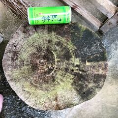 【未加工】松木の丸太カット  高さ40cm 幅35cm 重さ約50kgの画像