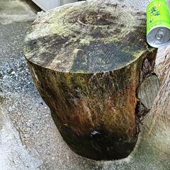 【未加工】松木の丸太カット  高さ40cm 幅35cm 重さ約50kgの画像