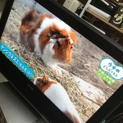 東芝テレビの画像