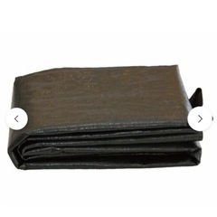 コディアックキャンバス8人用の画像