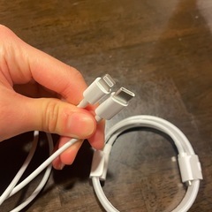 USB-C - Lightningケーブル ２点 
Apple純正の画像