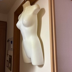 ハーフトルソーの画像