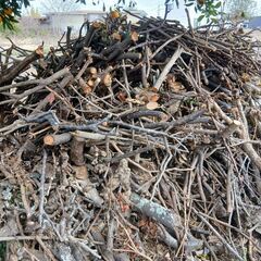 薪ストーブ用などに薪が沢山の画像