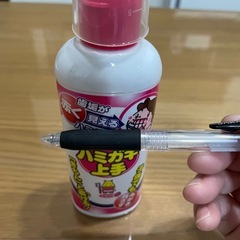 こどもハミガキ上手　液体ハミガキ　丹平製薬の画像