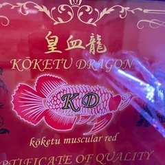 アロワナ
の画像