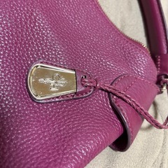 コールハーンの画像