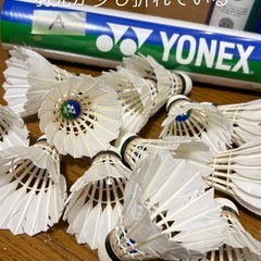 バドミントン中古シャトルの画像