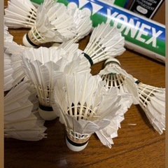 バドミントン中古シャトルの画像