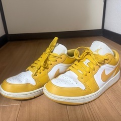 エアージョーダン1の画像