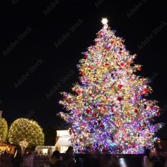 🎄✨ 恵比寿イルミネーション一緒に行きませんか？ ✨🎄