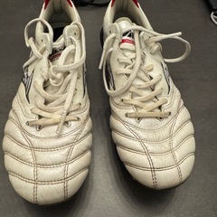 ジュニアサッカースパイクの画像