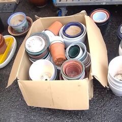 植木鉢　大量　まとめて引き取り希望　ガーデニングなどにお使いください。の画像