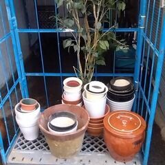 植木鉢　大量　まとめて引き取り希望　ガーデニングなどにお使いください。の画像