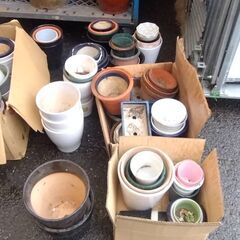 植木鉢　大量　まとめて引き取り希望　ガーデニングなどにお使いください。の画像