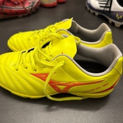 サッカージュニアトレシューの画像