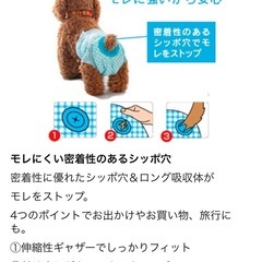 ペットオムツの画像