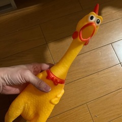 おもちゃの画像