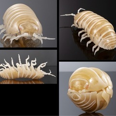 いきもの大図鑑アドバンス　ダンゴムシの画像