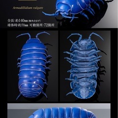 いきもの大図鑑アドバンス　ダンゴムシの画像