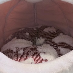 ペット用ドーム（猫、小型犬用）の画像