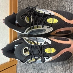 ナイキ　ゼファー　26.5の画像