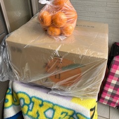 三ヶ日早生みかん訳あり限定3箱の画像