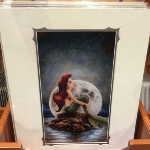 【新品】リトルマーメイド　25周年記念ディズニー公式　限定品　ディズニーワールド 新品】リトルマーメイド 25周年記念ディズニー公式 限定品 ディズニー