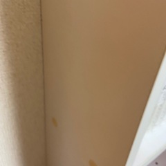 本棚 2個セット IKEA イケアの画像