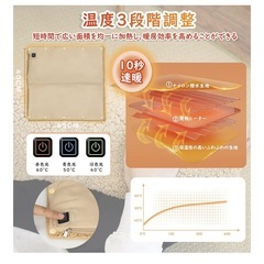 ホットマット　お腹ヒーター　新品　の画像