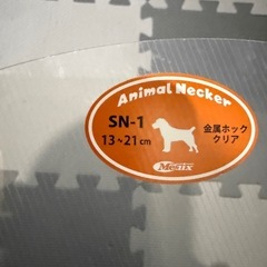 エリザベスカラー 犬 猫の画像