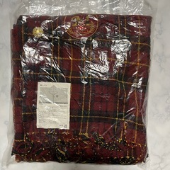 東京ディズニーリゾート ポンチョの画像