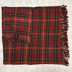 東京ディズニーリゾート ポンチョの画像