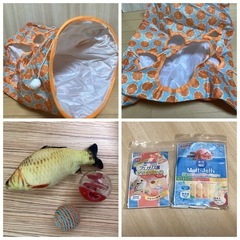 ちゅーる40本　サイエンスダイエット　敏感なお腹と皮膚の健康サポート　おもちゃの画像