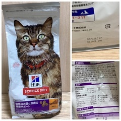 ちゅーる40本　サイエンスダイエット　敏感なお腹と皮膚の健康サポート　おもちゃの画像