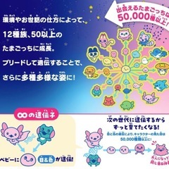 たまごっちパラダイス Jade Forest ジェイドフォレスト 森 もり　1個の画像